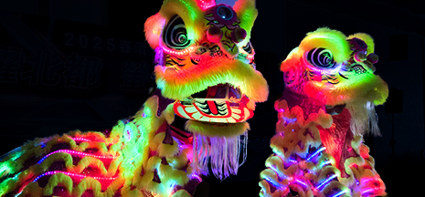 led 電光獅